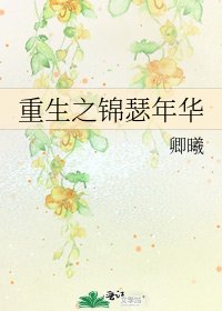 《重生之锦瑟年华》