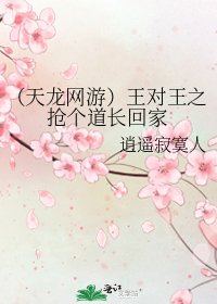 《(天龙网游)王对王之抢个道长回家》