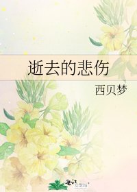 《逝去的悲伤》