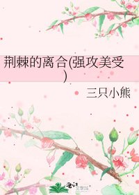 《荆棘的离合(强攻美受)》