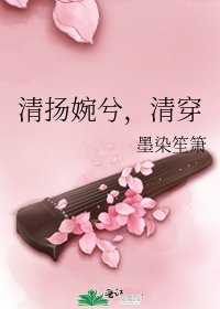 清扬婉兮，清穿