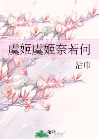 《虞姬虞姬奈若何》