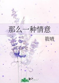 那么一种情意