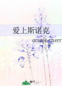 《爱上斯诺克》