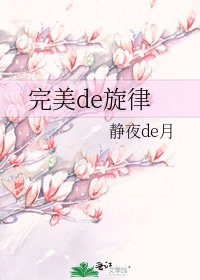 《完美de旋律》