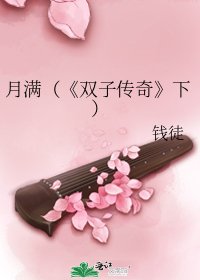 《双子传奇》