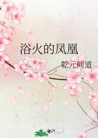 《浴火的凤凰》