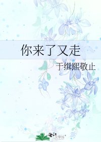 《你来了又走》