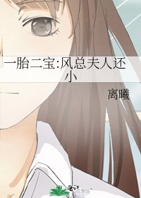 《一胎二宝:风总夫人还小》