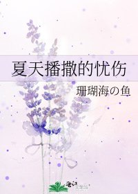 《夏天播撒的忧伤》