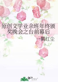 《原创文学业余班年终颁奖晚会之台前幕后》