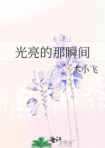 《光亮的那瞬间》