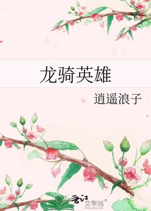 《龙骑英雄》