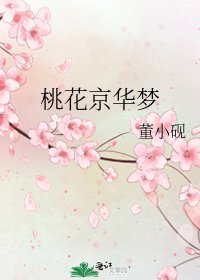 《桃花京华梦》
