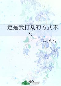 《一定是我打劫的方式不对》