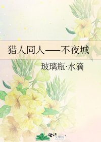 猎人同人——不夜城