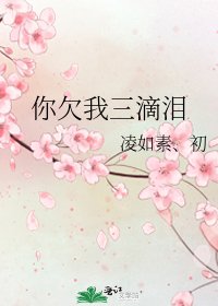 《你欠我三滴泪》