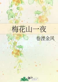 《梅花山一夜》
