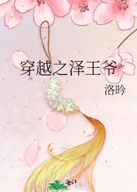 《穿越之泽王爷》