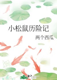 《小松鼠历险记》