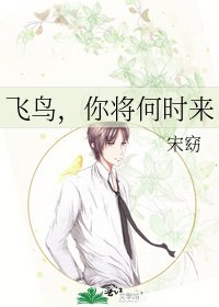 《飞鸟,你将何时来》