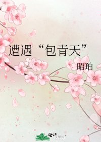 《遭遇“包青天”》