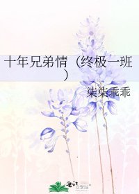 《十年兄弟情(终极一班)》