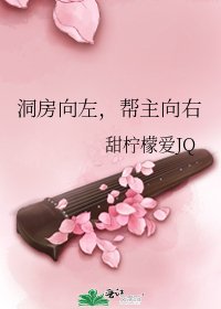 《洞房向左,帮主向右》
