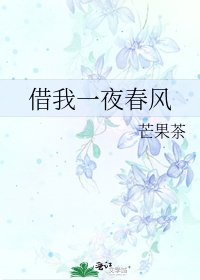《借我一夜春风》