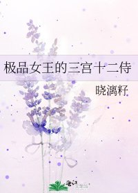 《极品女王的三宫十二侍》