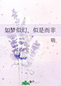 如梦似幻，似是而非