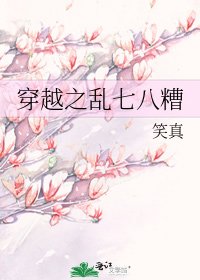 《穿越之乱七八糟》