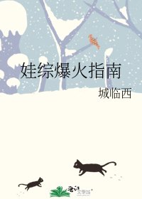 《娃综爆火指南》