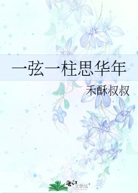 《一弦一柱思华年》