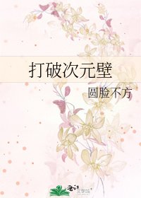 《打破次元壁》