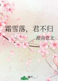 《霜雪落,君不归》