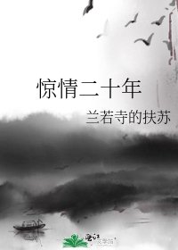 《惊情二十年》