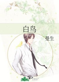 《白鸟》