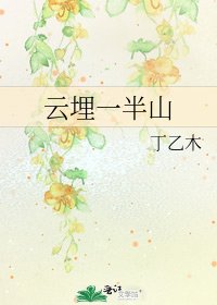 《云埋一半山》
