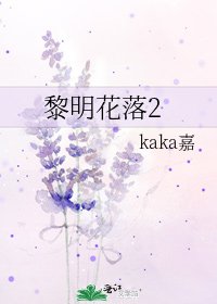 《黎明花落2》