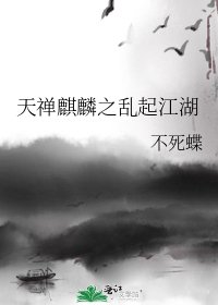 《天禅麒麟之乱起江湖》
