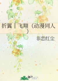 《折翼‖飞翔(动漫同人)》