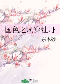 《国色之凤穿牡丹》