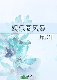 《娱乐圈风暴》