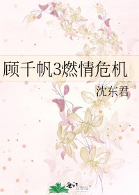 《顾千帆3燃情危机》