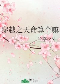 《穿越之天命算个嘛》