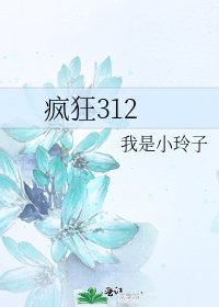 《疯狂312》
