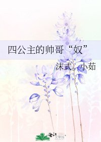 四公主的帅哥“奴”