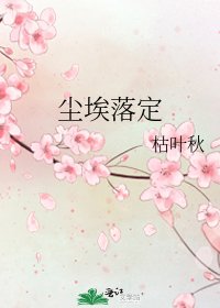 《尘埃落定》