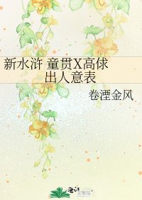 《新水浒 童贯X高俅 出人意表》
